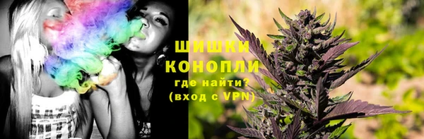 гидропоника Алзамай