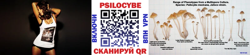 Псилоцибиновые грибы MAGIC MUSHROOMS  где найти   Южно-Сахалинск 