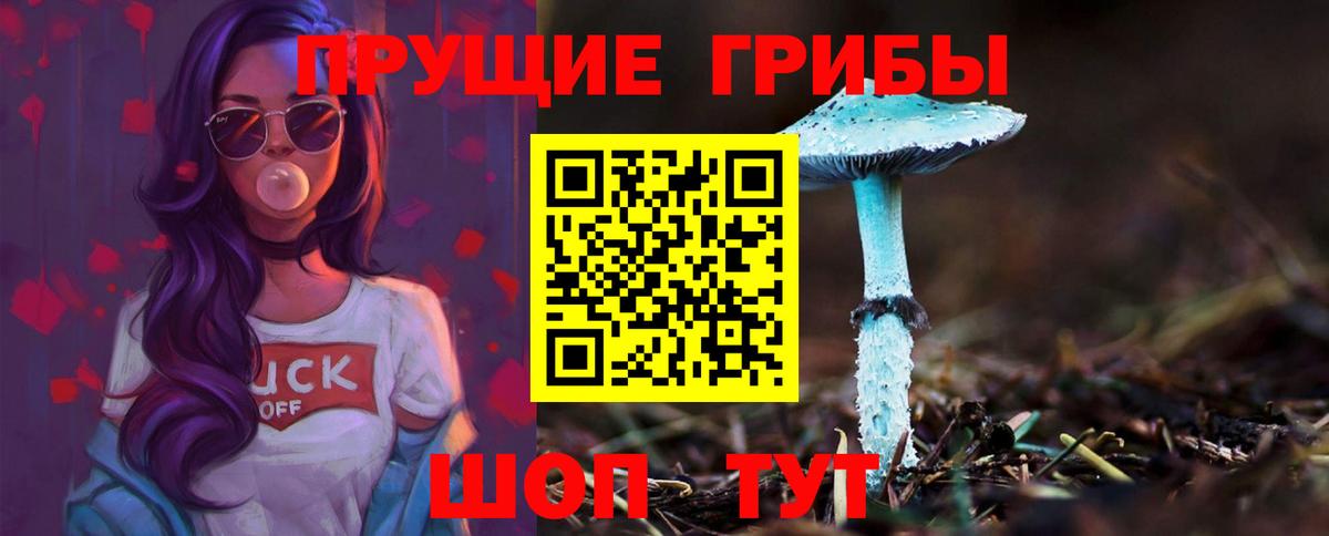Псилоцибиновые грибы Cubensis  закладки  Южно-Сахалинск  Вход с VPN 